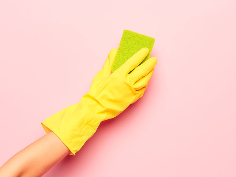 How to disinfect kitchen sponges and wet cloths?